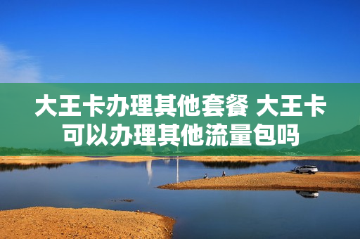 大王卡办理其他套餐 大王卡可以办理其他流量包吗