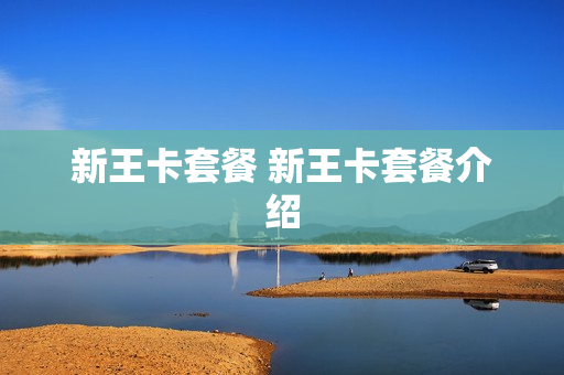新王卡套餐 新王卡套餐介绍
