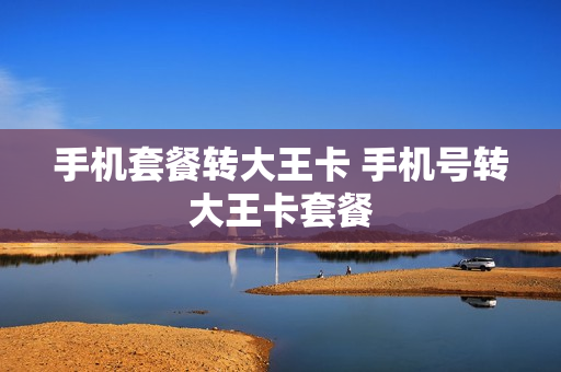 手机套餐转大王卡 手机号转大王卡套餐