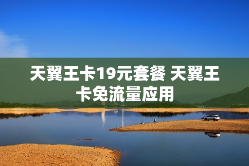 天翼王卡19元套餐 天翼王卡免流量应用