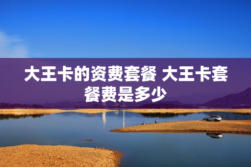 大王卡的资费套餐 大王卡套餐费是多少