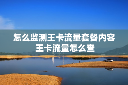 怎么监测王卡流量套餐内容 王卡流量怎么查