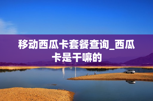 移动西瓜卡套餐查询_西瓜卡是干嘛的