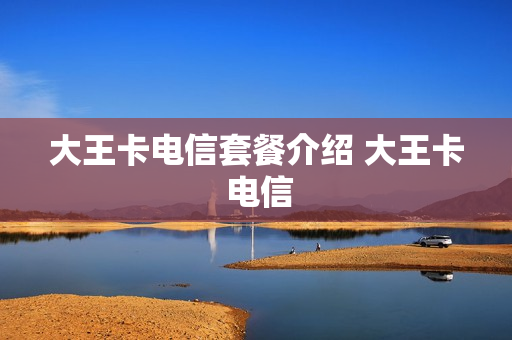 大王卡电信套餐介绍 大王卡 电信
