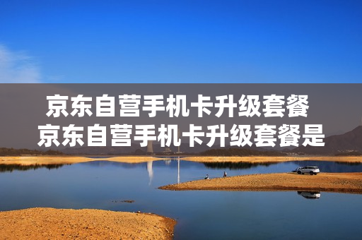 京东自营手机卡升级套餐 京东自营手机卡升级套餐是真的吗