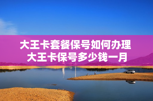 大王卡套餐保号如何办理 大王卡保号多少钱一月