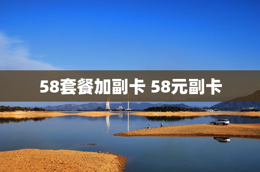 58套餐加副卡 58元副卡
