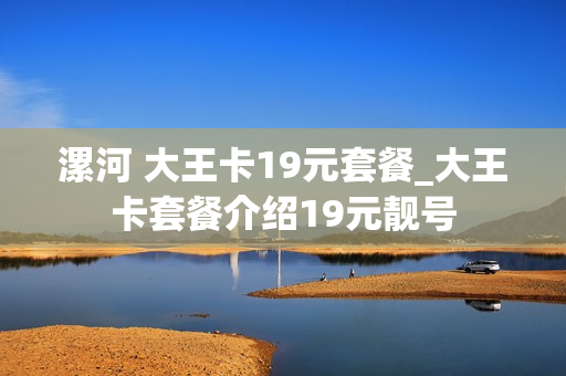 漯河 大王卡19元套餐_大王卡套餐介绍19元靓号