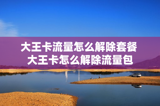 大王卡流量怎么解除套餐 大王卡怎么解除流量包