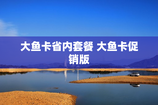 大鱼卡省内套餐 大鱼卡促销版