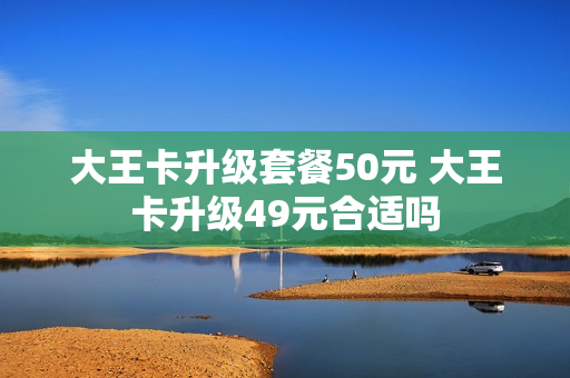 大王卡升级套餐50元 大王卡升级49元合适吗