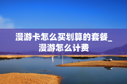 漫游卡怎么买划算的套餐_漫游怎么计费