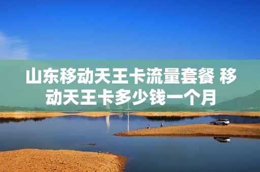 山东移动天王卡流量套餐 移动天王卡多少钱一个月