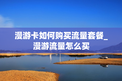 漫游卡如何购买流量套餐_漫游流量怎么买