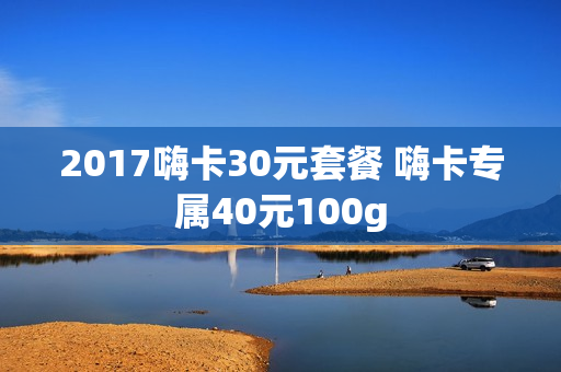 2017嗨卡30元套餐 嗨卡专属40元100g