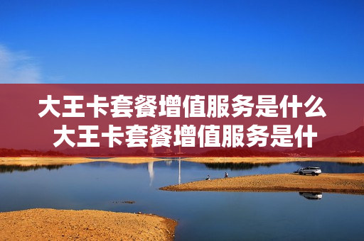 大王卡套餐增值服务是什么 大王卡套餐增值服务是什么意思