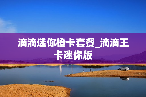 滴滴迷你橙卡套餐_滴滴王卡迷你版
