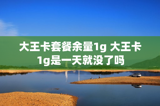 大王卡套餐余量1g 大王卡1g是一天就没了吗