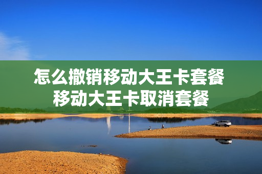 怎么撤销移动大王卡套餐 移动大王卡取消套餐