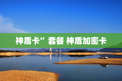神盾卡”套餐 神盾加密卡
