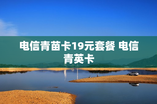 电信青苗卡19元套餐 电信青英卡