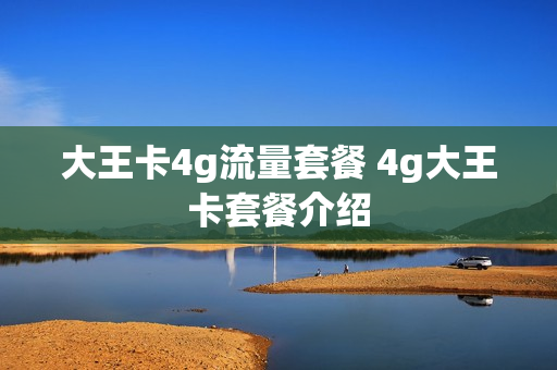 大王卡4g流量套餐 4g大王卡套餐介绍