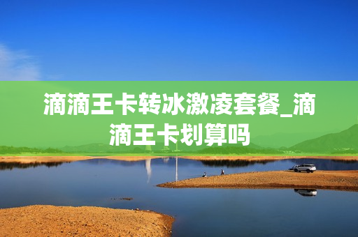 滴滴王卡转冰激凌套餐_滴滴王卡划算吗