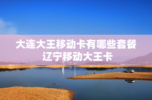 大连大王移动卡有哪些套餐 辽宁移动大王卡