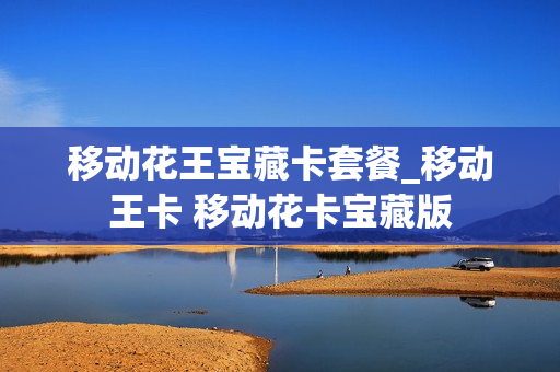移动花王宝藏卡套餐_移动王卡 移动花卡宝藏版