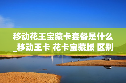 移动花王宝藏卡套餐是什么_移动王卡 花卡宝藏版 区别