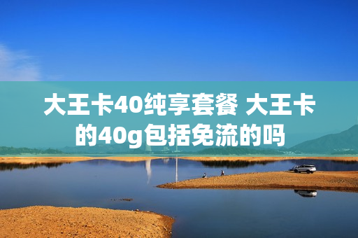 大王卡40纯享套餐 大王卡的40g包括免流的吗