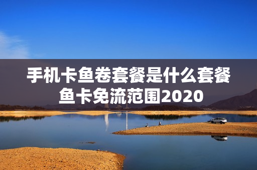 手机卡鱼卷套餐是什么套餐 鱼卡免流范围2020