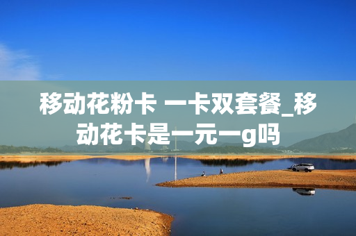 移动花粉卡 一卡双套餐_移动花卡是一元一g吗
