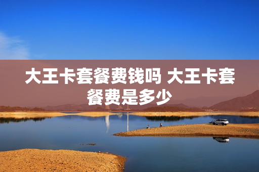 大王卡套餐费钱吗 大王卡套餐费是多少