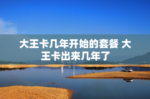 大王卡几年开始的套餐 大王卡出来几年了