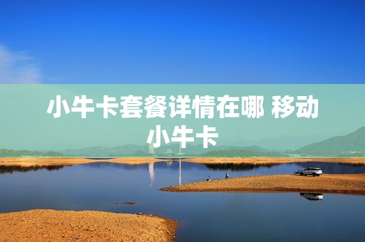 小牛卡套餐详情在哪 移动小牛卡