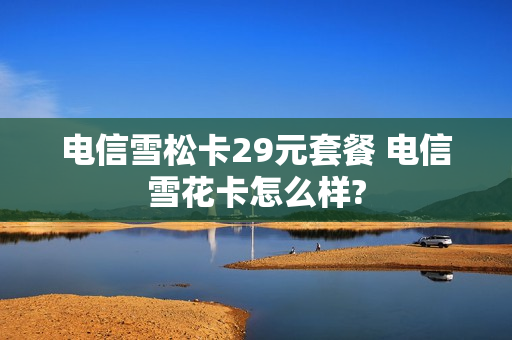 电信雪松卡29元套餐 电信雪花卡怎么样?