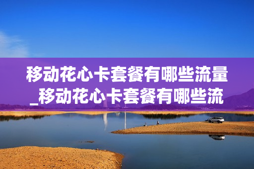 移动花心卡套餐有哪些流量_移动花心卡套餐有哪些流量可以用