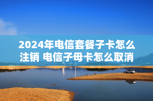2024年电信套餐子卡怎么注销 电信子母卡怎么取消