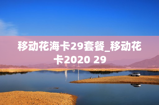 移动花海卡29套餐_移动花卡2020 29