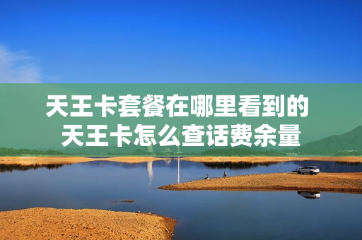 天王卡套餐在哪里看到的 天王卡怎么查话费余量
