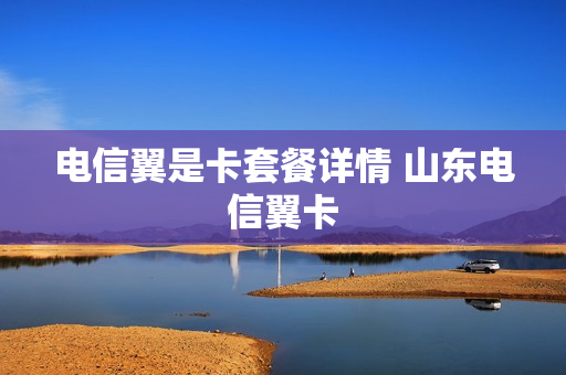 电信翼是卡套餐详情 山东电信翼卡