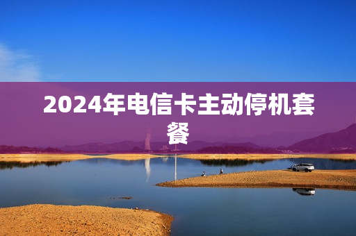 2024年电信卡主动停机套餐