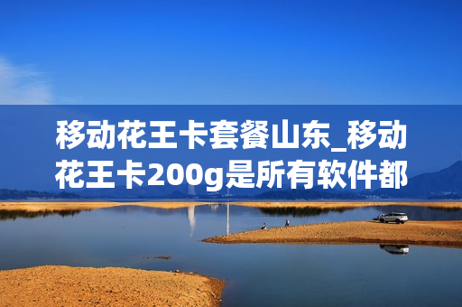 移动花王卡套餐山东_移动花王卡200g是所有软件都可用