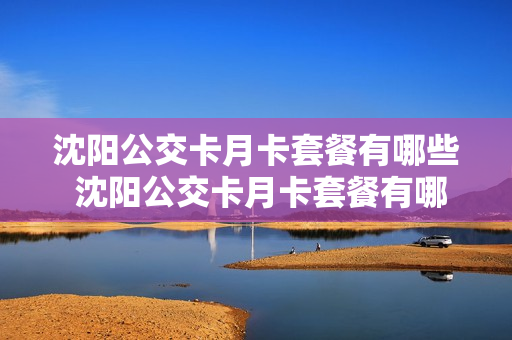 沈阳公交卡月卡套餐有哪些 沈阳公交卡月卡套餐有哪些优惠