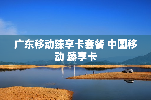 广东移动臻享卡套餐 中国移动 臻享卡