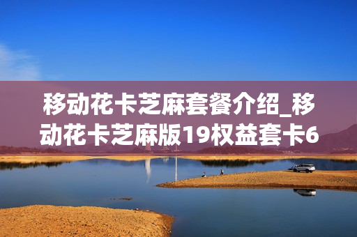 移动花卡芝麻套餐介绍_移动花卡芝麻版19权益套卡6个月