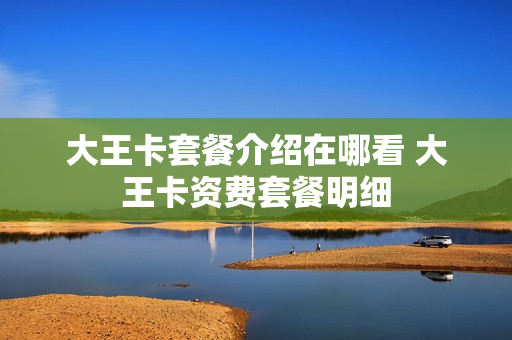 大王卡套餐介绍在哪看 大王卡资费套餐明细