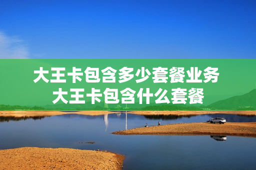 大王卡包含多少套餐业务 大王卡包含什么套餐
