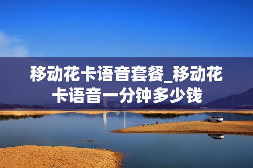 移动花卡语音套餐_移动花卡语音一分钟多少钱